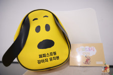 퍼피스프링 강서점