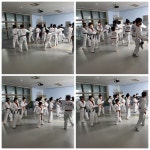 경주연세한솔태권도장