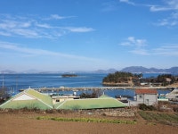 태란펜션