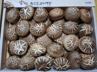 보배네원목표고농장