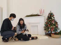핑크멍 애견카페 애견호텔 남양주점