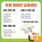 포항반려견교육센터