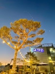 카페 다온