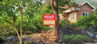 엘림농장