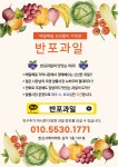 반포과일