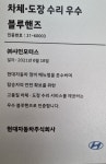 블루핸즈 덕이미래로현대서비스