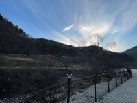 김천맑은계곡 오토캠핑장