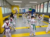 용인대 태권도 상신 정도장