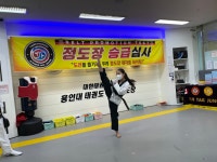 용인대 태권도 상신 정도장
