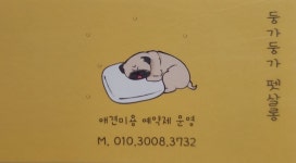 둥가둥가 펫살롱