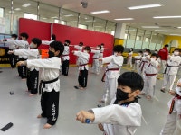 용인대 태권도 상신 정도장