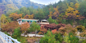 하추 사계절펜션