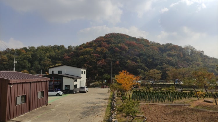 들벗교회 사진 1