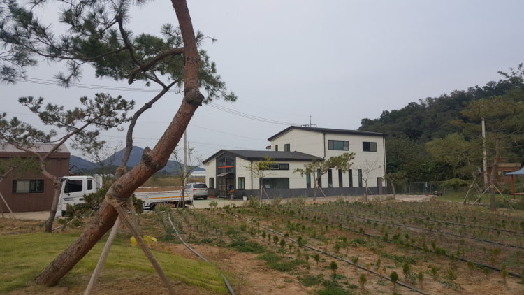 들벗교회 사진 3