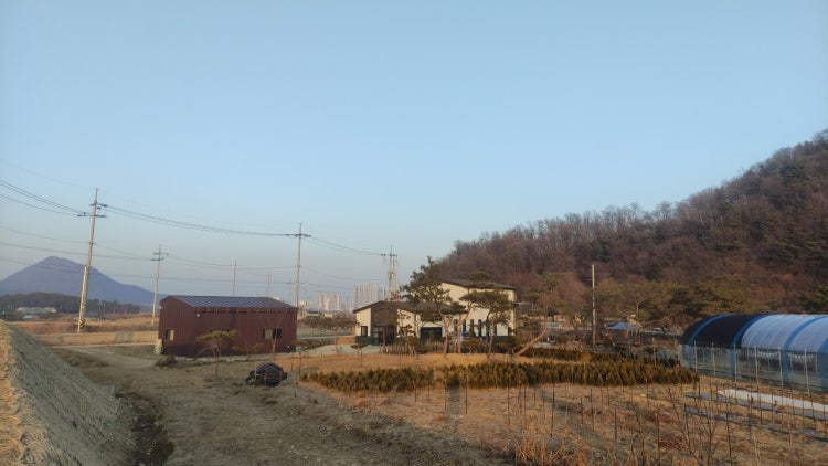 들벗교회 사진 2