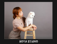 호야스튜디오