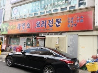 냉천골흑염소