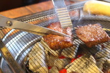 텃고을한우