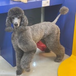 올리스24 세종점