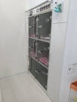 라이언펫 수원광교동물병원