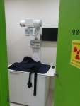라이언펫 수원광교동물병원