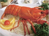 뉴욕바닷가재 청담본점