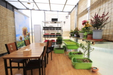 신천도토리새싹요리