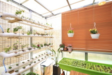 신천도토리새싹요리