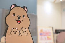 링키영어 서현2동 효자1호점