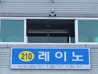 레이노 모터스