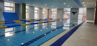 이야짐앤오르카스위밍