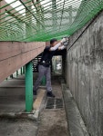 주 이상건축