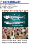 싱싱회예찬