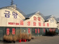 음성화훼유통
