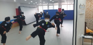 용인대합기도