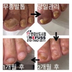 레푸스 김포 한강신도시점