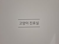 필유동물메디컬센터