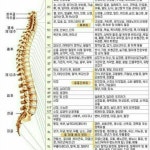진해마사지 진약손 전신관리에스테틱