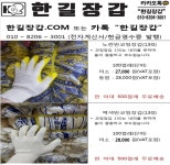한길몰