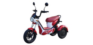 대풍이브이자동차