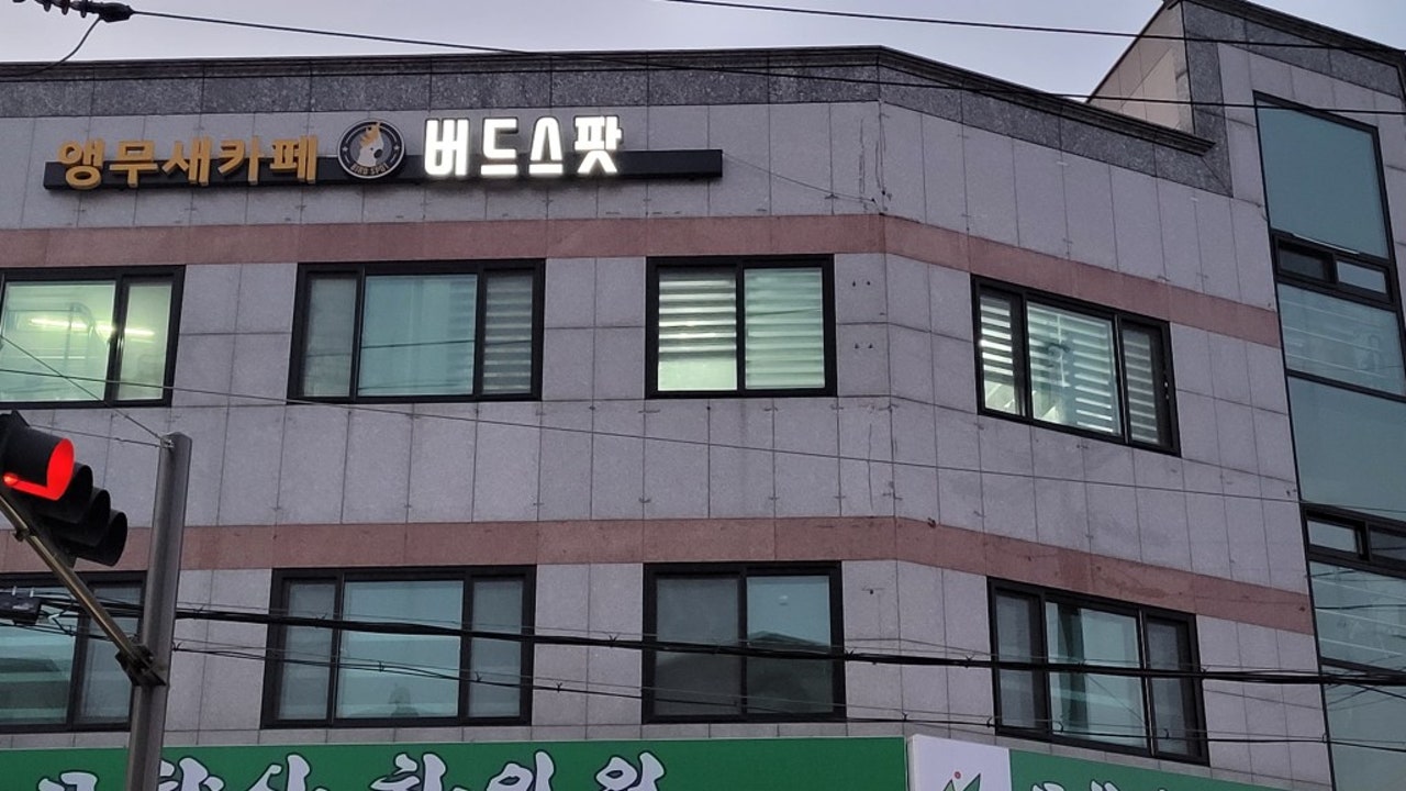 카페 버드스팟