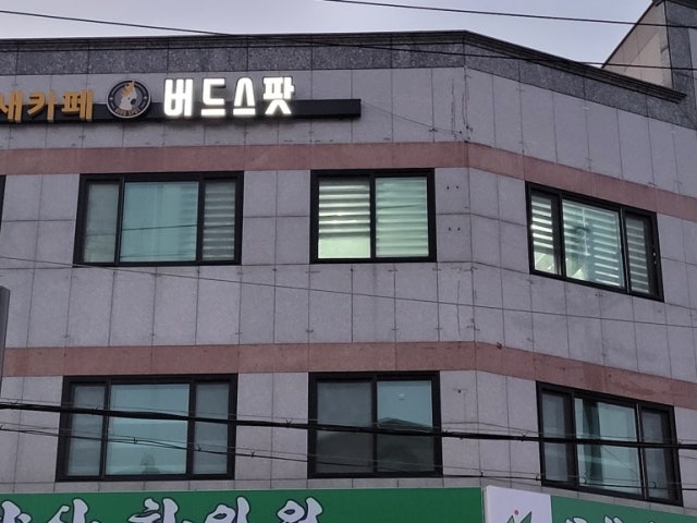 카페 버드스팟