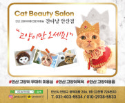 잔다냥 안산점