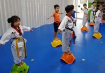 국가대표연세태권도