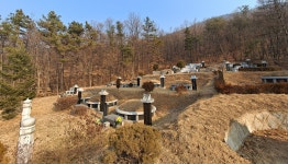 VIP부동산공인중개사사무소