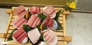 신선참치