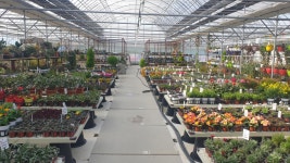 나들목야생화농원