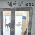 헤어 캣