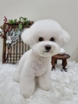 아뜰리에 몽