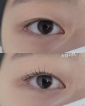 스테이미
